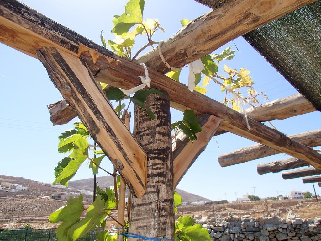 Pavlosx2 Folégandros Exteriér fotografie