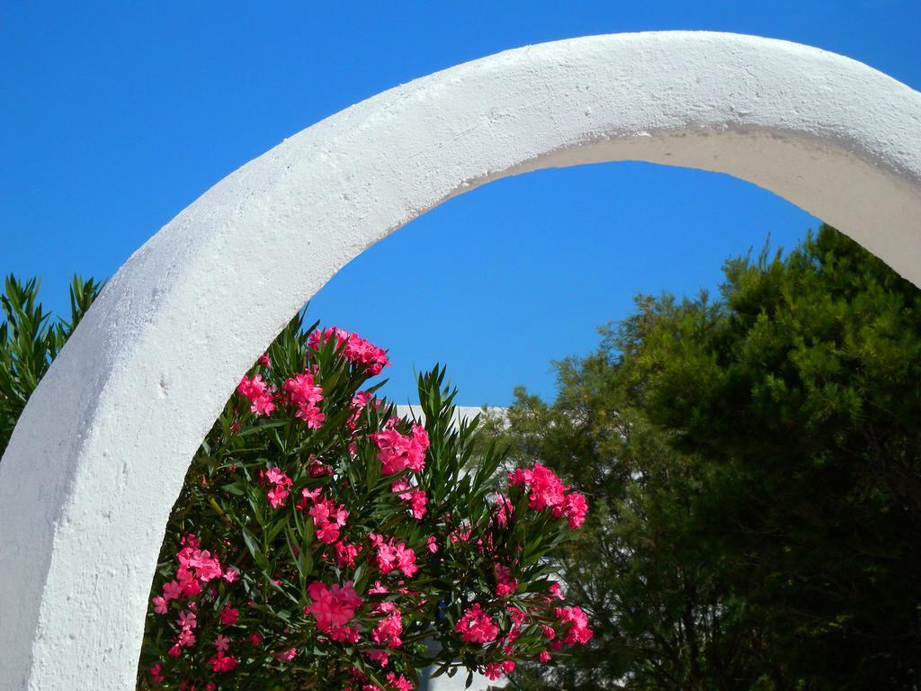 Pavlosx2 Folégandros Exteriér fotografie